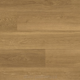 Panele winylowe Design Flooring Van Gogh deska